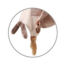 BabyOno - CUDDLY TOY GOOSE ZOE